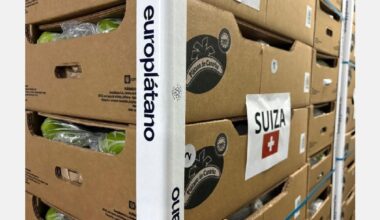 Europlátano has been exporting bananas from the Canary Islands to Switzerland for ten years