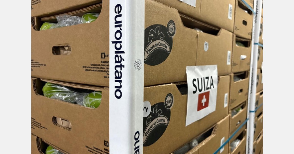 Europlátano has been exporting bananas from the Canary Islands to Switzerland for ten years