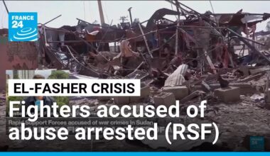 Sudan's RSF says it arrested fighters accused of El-Fasher abuses • FRANCE 24 English