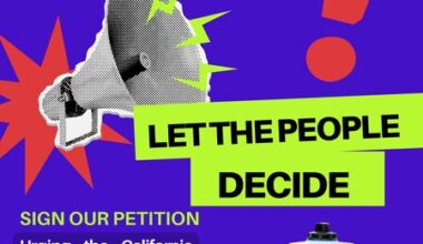 Let the People Decide: Give Us a Vote on Autonomous Vehicles