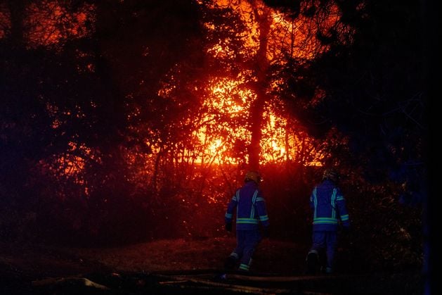 Firefighters tackling large blaze in north Belfast