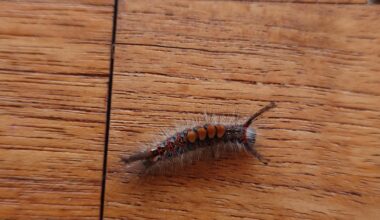 Neulich auf der Terrasse