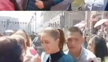 Claudia Sheinbaum: Mexican president sexually assaulted in public • FRANCE 24 English