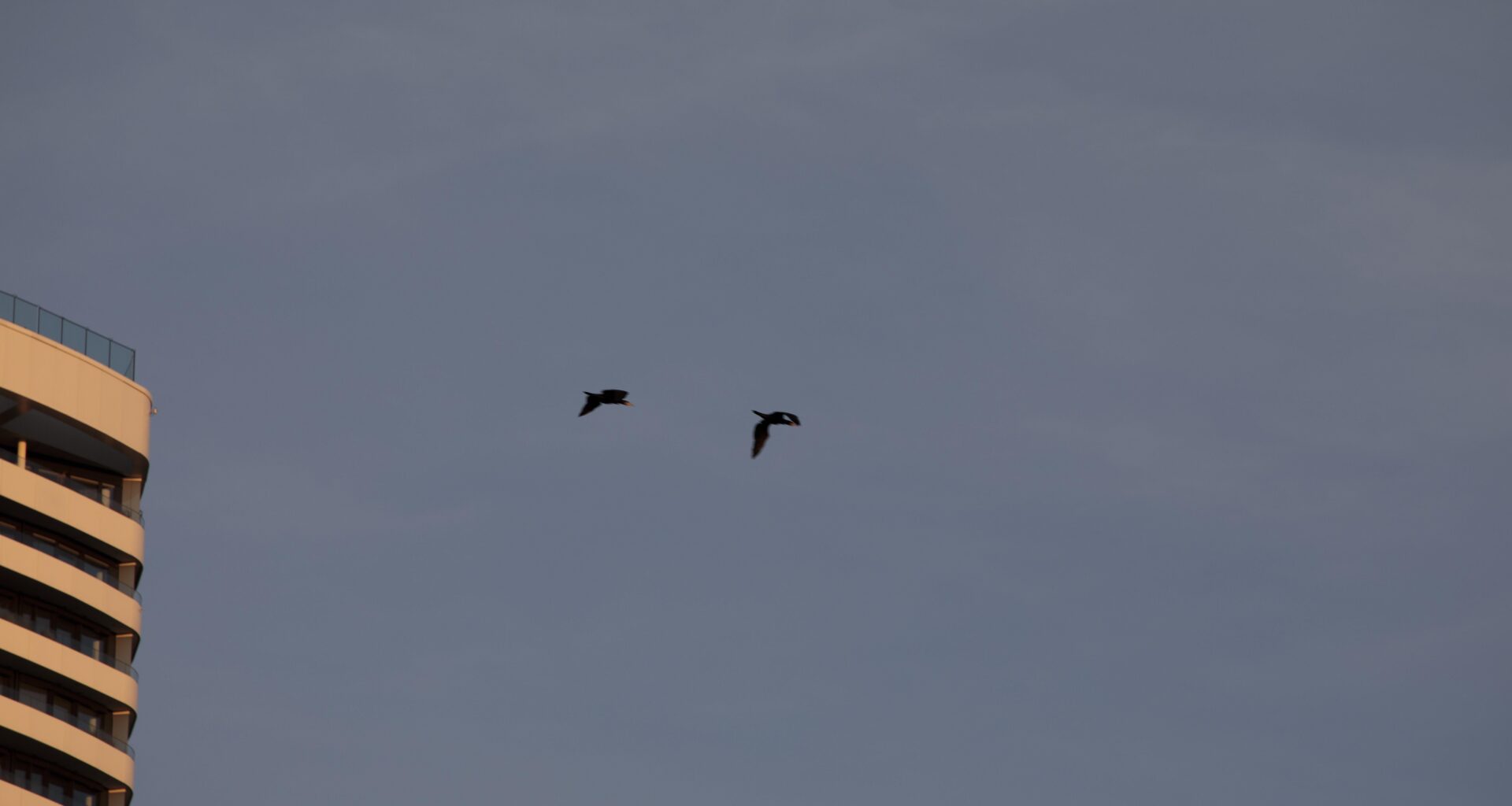 Was ist da durch den wiener Luftraum heute geflogen?