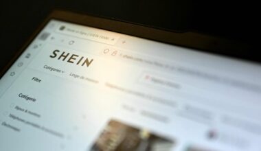 VRAI OU FAUX. Scandale Shein : le gouvernement peut-il vraiment bloquer le site en France ?