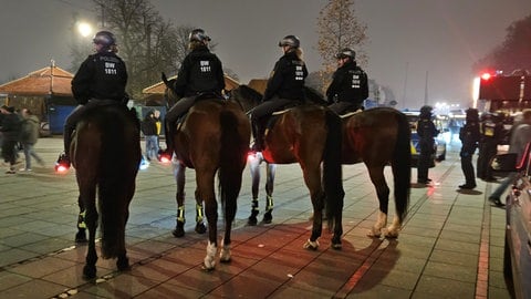 Nach einigen Ausschreitungen beim Europa League Spiel zwischen Stuttgart und Rotterdam waren danach viele Polizisten auf dem Schlossplatz.