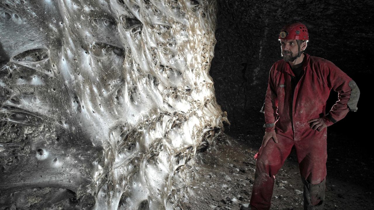 Riesiges Spinnennetz in griechischer Höhle entdeckt