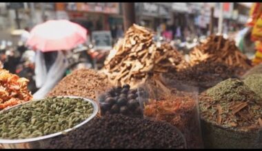 Explorando la ruta de las especias de la India: un viaje de mil sabores por Kerala • FRANCE 24