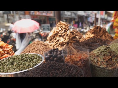 Explorando la ruta de las especias de la India: un viaje de mil sabores por Kerala • FRANCE 24