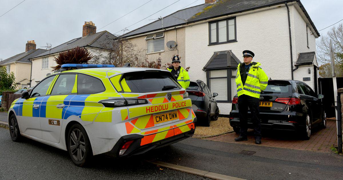 Arrests made after nine-month-old baby killed by XL Bully