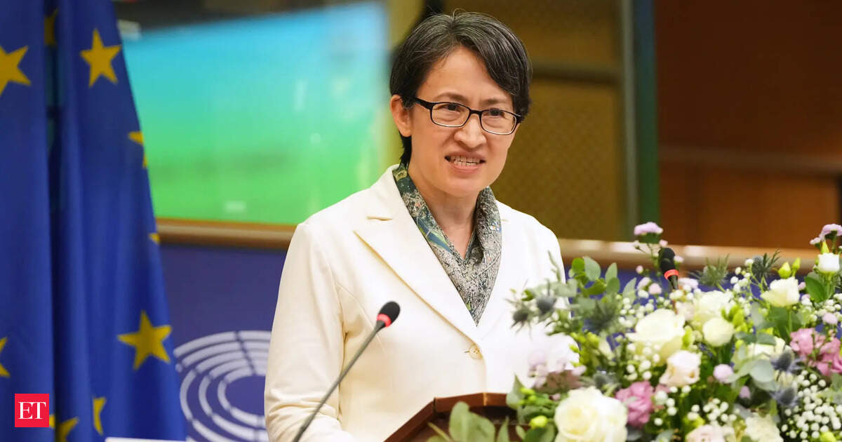 Taiwan's vice president calls for closer EU ties in rare address to international lawmakers