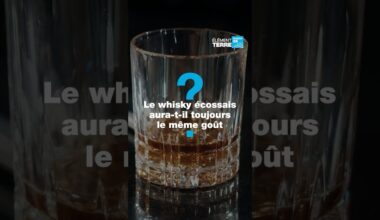 La disparition des tourbières menace le whisky écossais • FRANCE 24