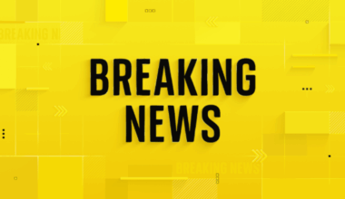 Woman critically injured after being stabbed in neck in 'unprovoked attack'