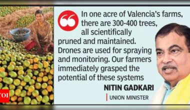 Vidarbha orange farmers apply lessons from Spain trip, yield to triple in 5 years: Gadkari | Nagpur News