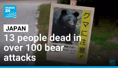 Japan has deployed his army to counter beat attacks • FRANCE 24 English