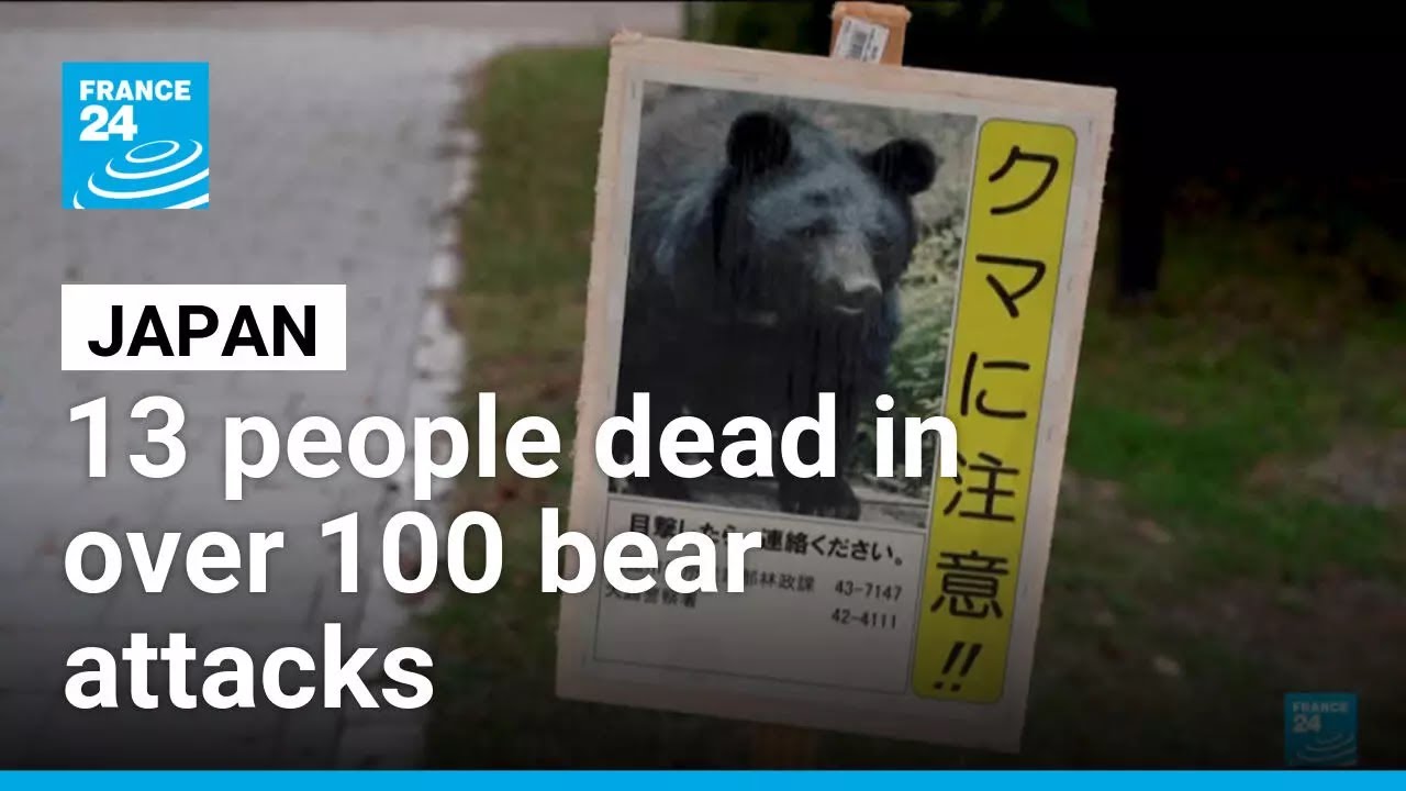 Japan has deployed his army to counter beat attacks • FRANCE 24 English