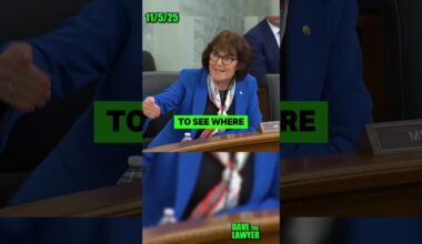 There's a New Bernie in Town!