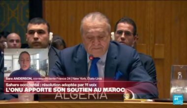 Sahara occidental : le Conseil de sécurité de l'ONU apporte son soutien au Maroc • FRANCE 24