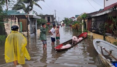 Pope: Honor war victims with ceasefires, genuine commitment for peace