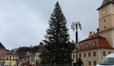 VIDEO+FOTO Bradul de Crăciun a ajuns în Piața Sfatului