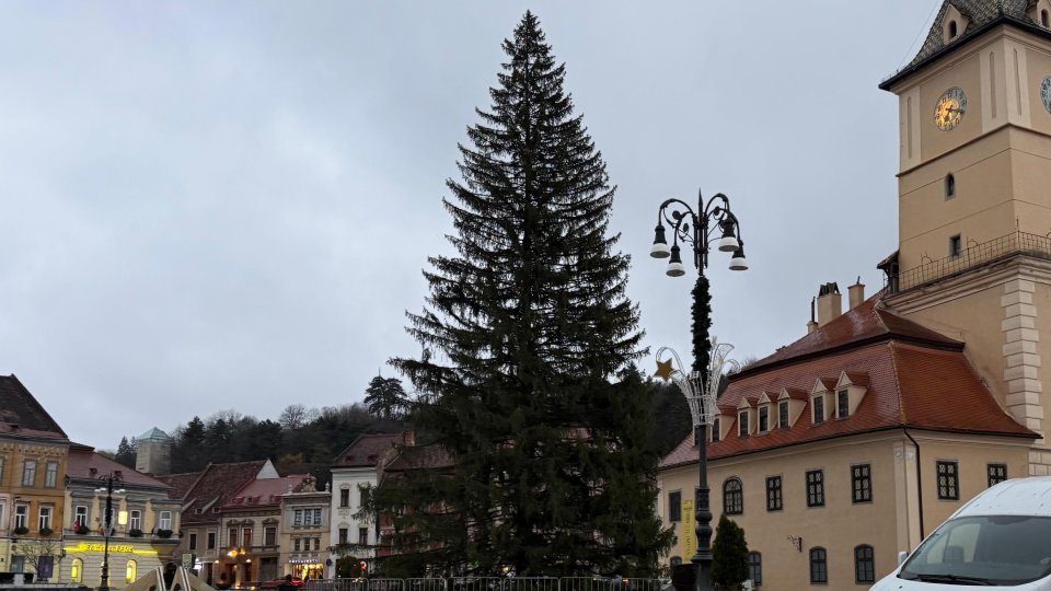 VIDEO+FOTO Bradul de Crăciun a ajuns în Piața Sfatului