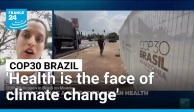 'Health is the face of climate change': how can cities mitigate the impact of global warming