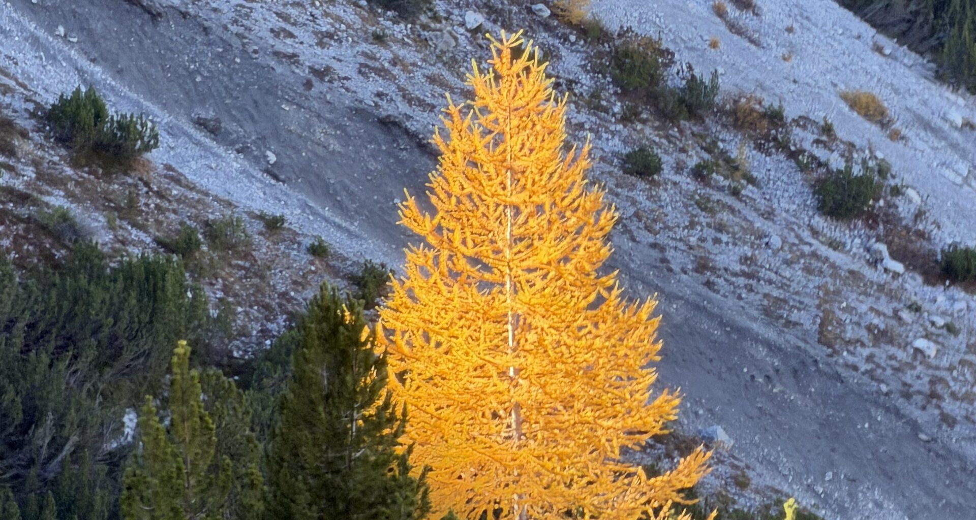 So golden war der Herbst