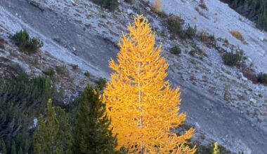 So golden war der Herbst