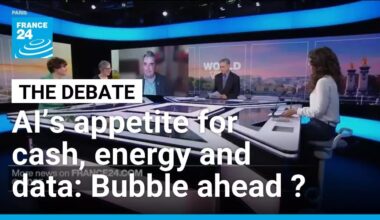 AI’s insatiable appetite for cash, energy and data: Bubble ahead ? • FRANCE 24 English