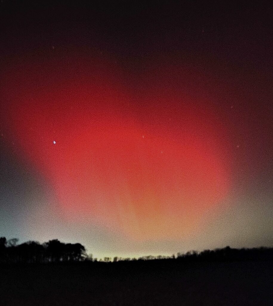 New Amateur Astronomy / Nature / Environment Blog - Entry #1