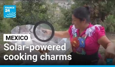 Solar-powered cooking gains popularity in Mexico • FRANCE 24 English