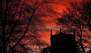Sunset Silhouette in Nottingham
