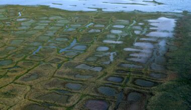 Trump administration rescinds Biden-era rule to expand drilling opportunity in petroleum reserve