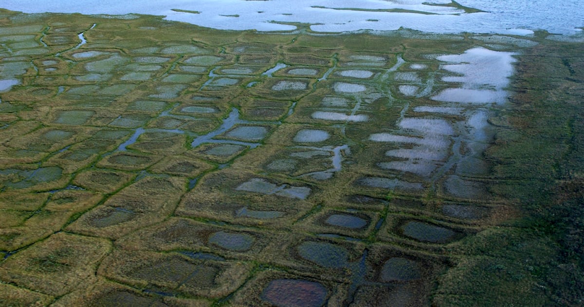 Trump administration rescinds Biden-era rule to expand drilling opportunity in petroleum reserve