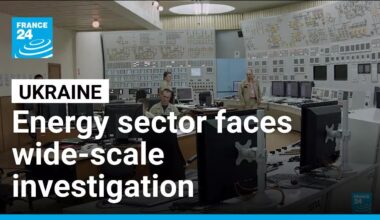 Ukraine's anti-graft agency investigates alleged corruption in energy sector • FRANCE 24 English
