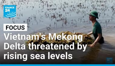 Vietnam's Mekong Delta threatened by rising sea levels • FRANCE 24 English