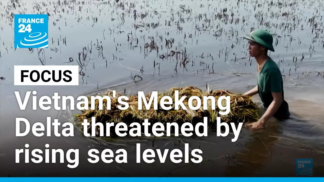 Vietnam's Mekong Delta threatened by rising sea levels • FRANCE 24 English
