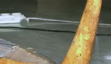 Vatican to return 62 Indigenous cultural items to Canada