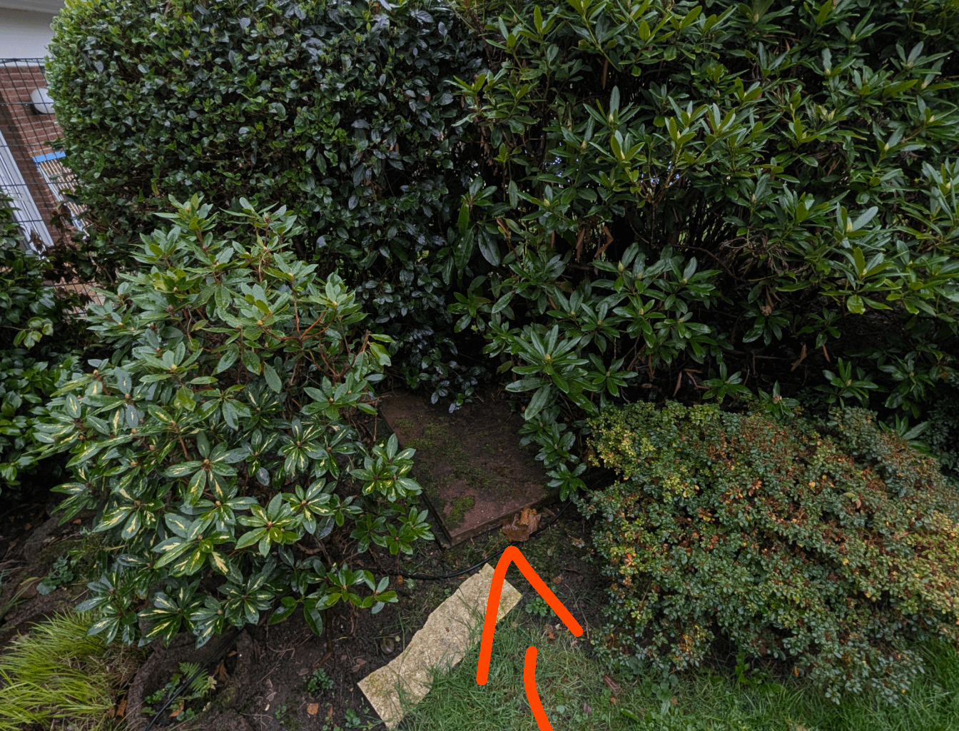 Wassertonne im Garten aufstellen