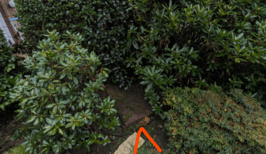 Wassertonne im Garten aufstellen