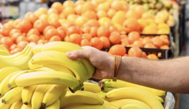 Trump drops tariffs on range of fruits | Article