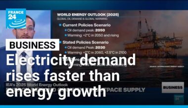 IEA reports shows rising demand for electricity, need for energy diversity • FRANCE 24 English