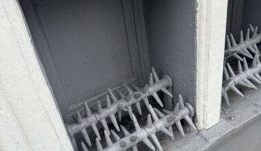 Does anyone know what are these?