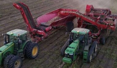 Migrants crucial to economy; immigration reform needed, Idaho farmers say