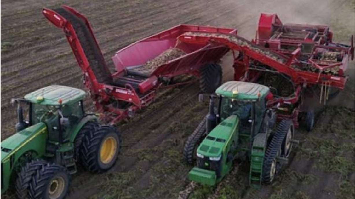 Migrants crucial to economy; immigration reform needed, Idaho farmers say