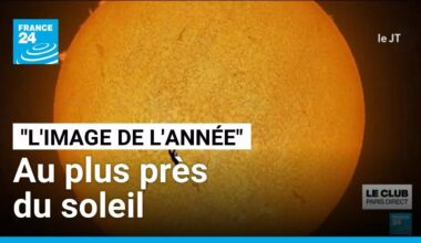 "L’image de l’année" : un parachutiste capturé en chute libre parfaitement aligné avec le soleil