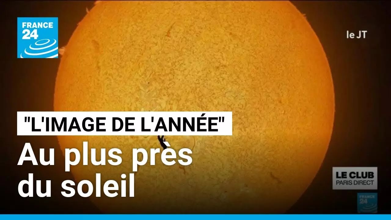 "L’image de l’année" : un parachutiste capturé en chute libre parfaitement aligné avec le soleil