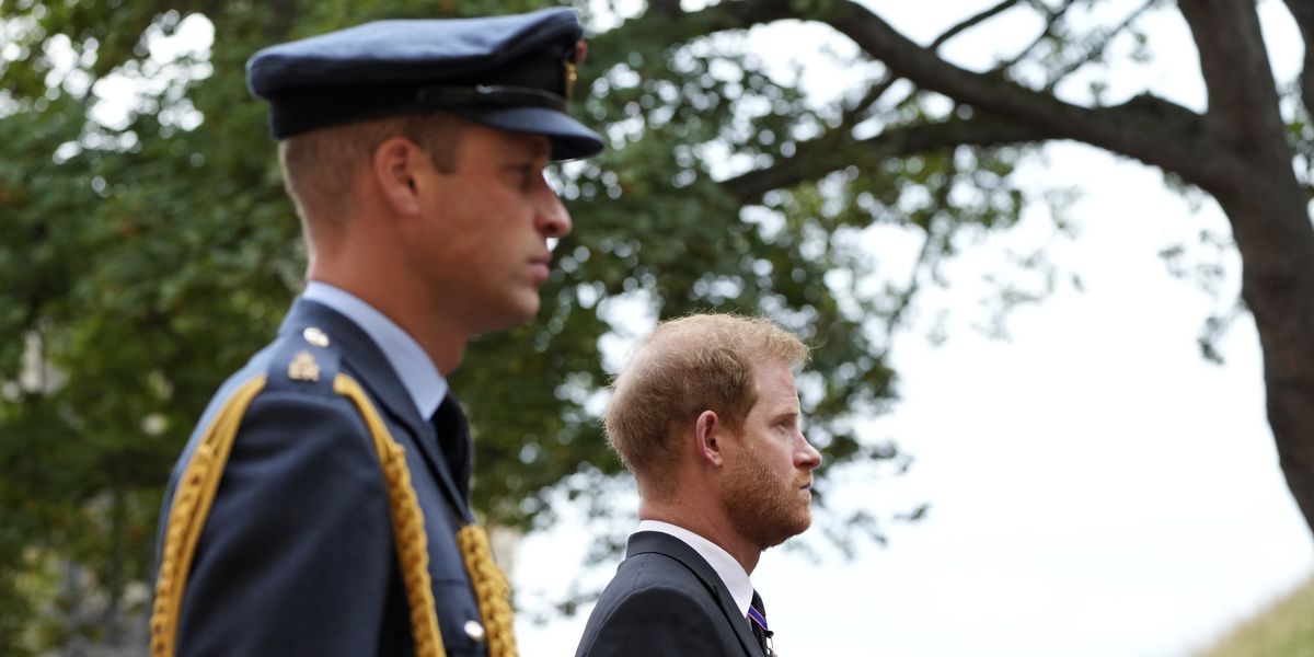 Prince Harry's Royal Family future 'to be decided by Prince William' amid pleas for Duke's return