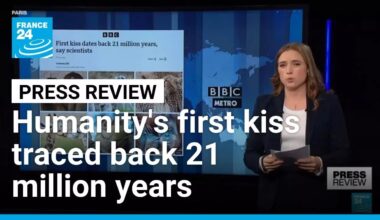 Humanity's first kiss traced back 21 million years by scientists • FRANCE 24 English