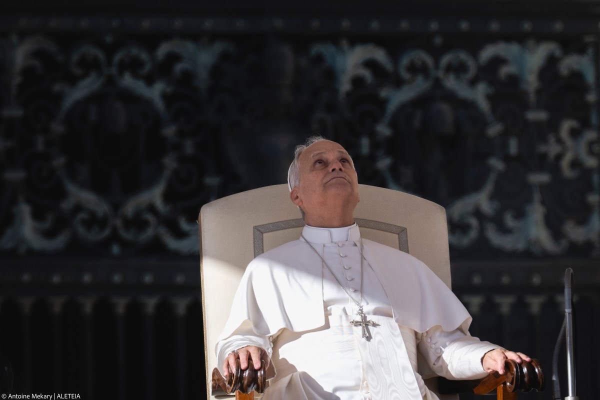 Pope Leo calls for ‘integral ecology’